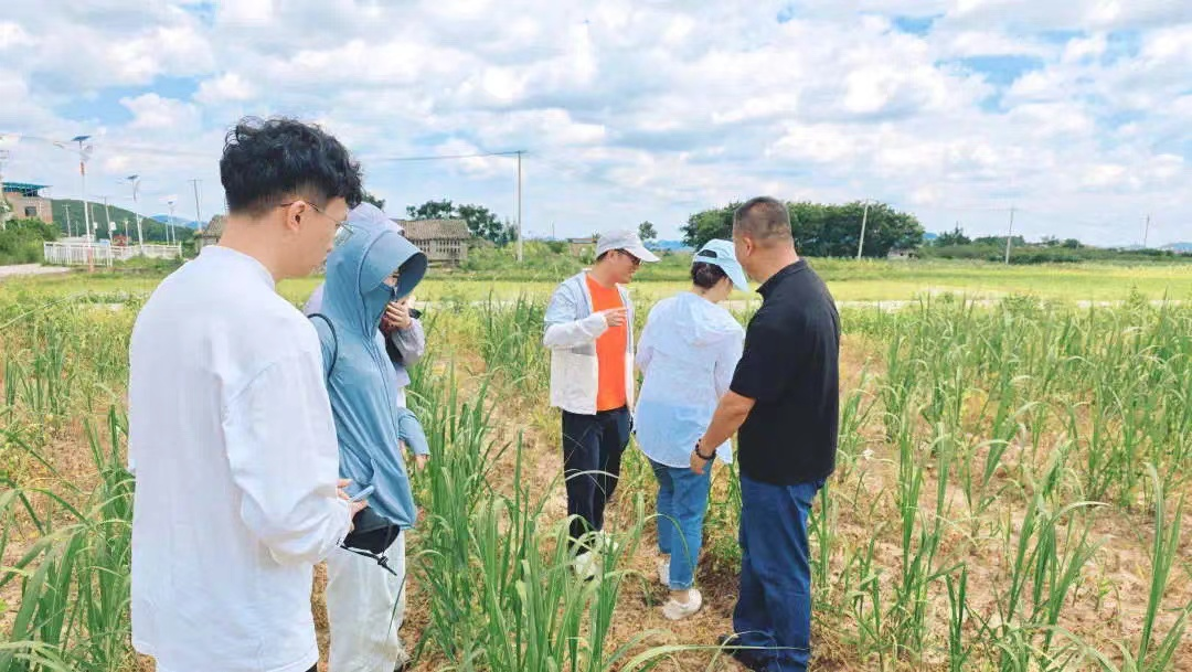 &#24320;&#20803;&#32593;&#31449;&#30331;&#24405;&#20837;&#21475;&#95;&#24320;&#20803;&#65288;&#20013;&#22269;&#65289;