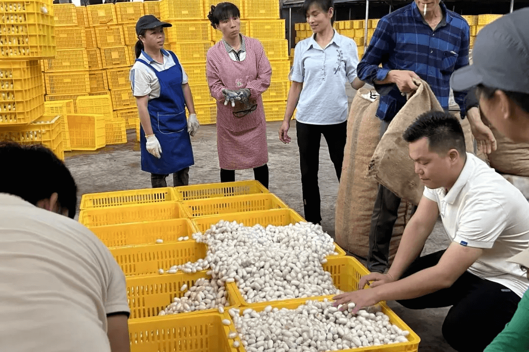 &#24320;&#20803;&#32593;&#31449;&#30331;&#24405;&#20837;&#21475;&#95;&#24320;&#20803;&#65288;&#20013;&#22269;&#65289;